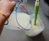 低脂蓝莓酸奶冰棍的做法步骤2