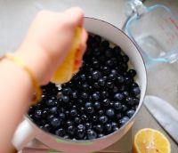 低脂蓝莓酸奶冰棍的做法步骤6
